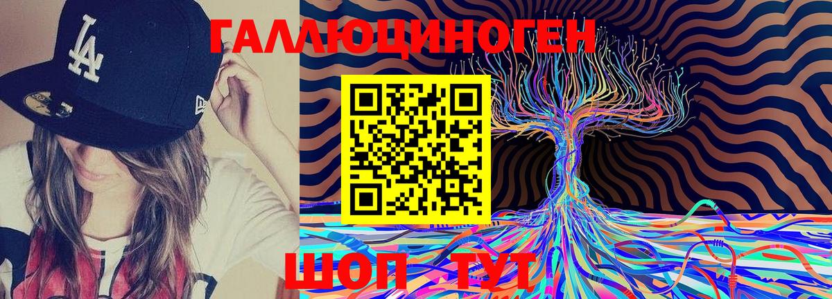 Псилоцибиновые грибы Psilocybe Нефтекумск