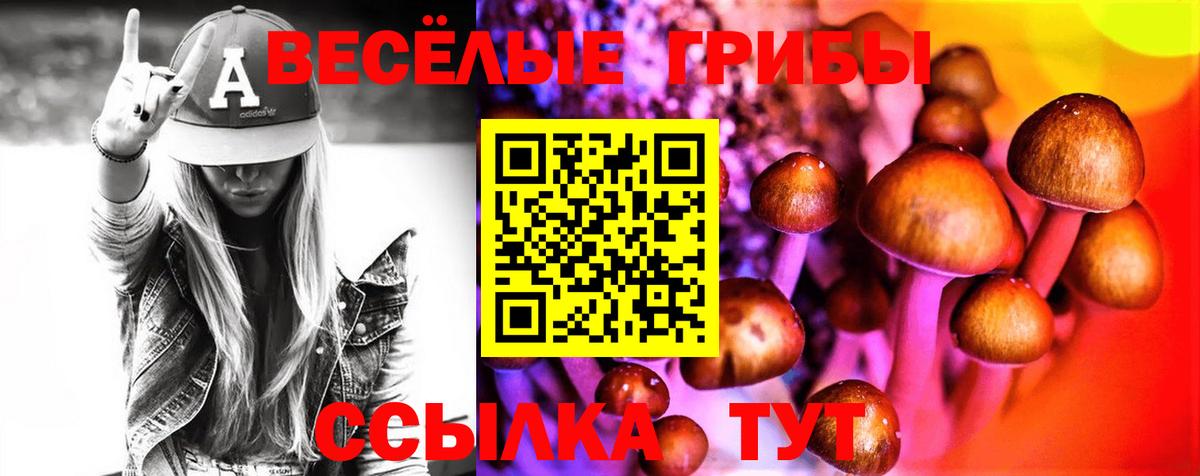 Нефтекумск  Галлюциногенные грибы Psilocybine cubensis  Вход с VPN 